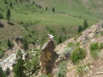 Brandon climbing out on a rock above the Boise River, near the Elmore county line.