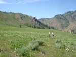 Wide shot of the meadow.  A beautiful place.