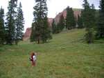 Down a bit lower, at the far end of the mountain meadow.  We're getting ready to really drop down.