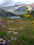 Some wildflowers, with Snowmass Lake in the background.  I especially like this one.