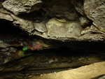 Looking down toward the end of the cave (which is around the corner a little distance)