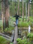 On the way out, crossing the river.  Water level had actually gone up several inches since we came in, so many of our previous logs were under water!