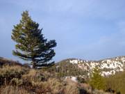 Highlight for Album: May 2005: Paul's Solo Trip to Jennie Lake