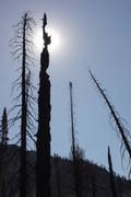 Highlight for Album: August 2007: Scorched Earth (Trail Creek Lakes)