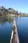 A picture from the same log where Nate Estes was fishing in 2005.
