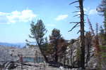 Small pond above Lake Yoshi.