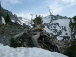 Scenic shot back into the basin with Thompson and Williams Peaks in the background.