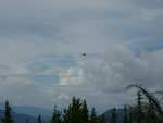There were three hawks flying around the summit constantly, sometimes within 20 feet of us!  This is the best picture we got, though.  Note the stormy clouds moving in.