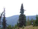 Enjoying another great view from a clearing about 2300 feet above the trailhead.